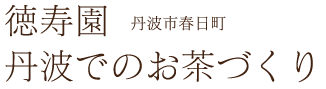 丹波でのお茶づくり